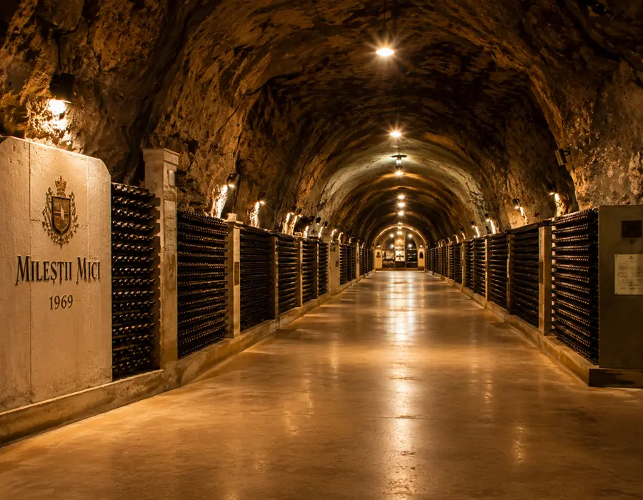 Endless underground wine tunnels at Mileștii Mici Moldova